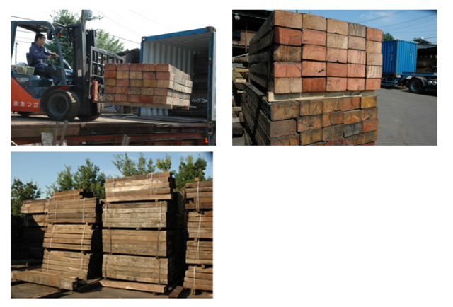 コアラ枕木入荷