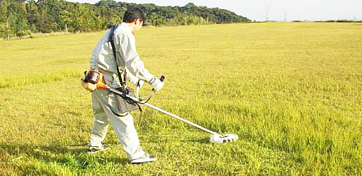 草刈機 刈払機 安全カバーT2 Guard 作業写真